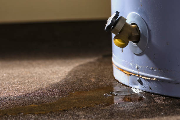 Best Basement water damage restoration  in Jackpot, NV