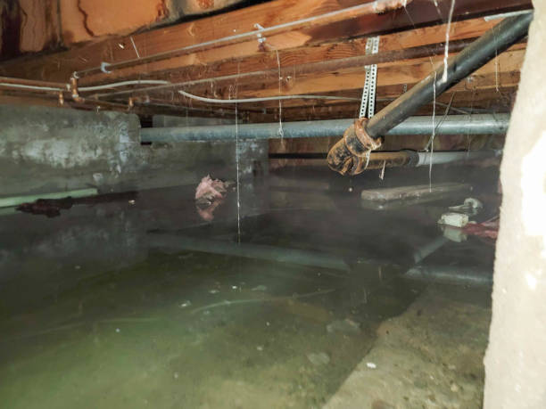 Best Fire Damage Restoration  in Jackpot, NV