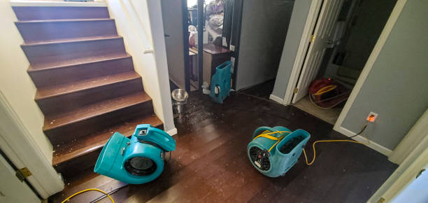 Best 24-hour water damage restoration  in Jackpot, NV