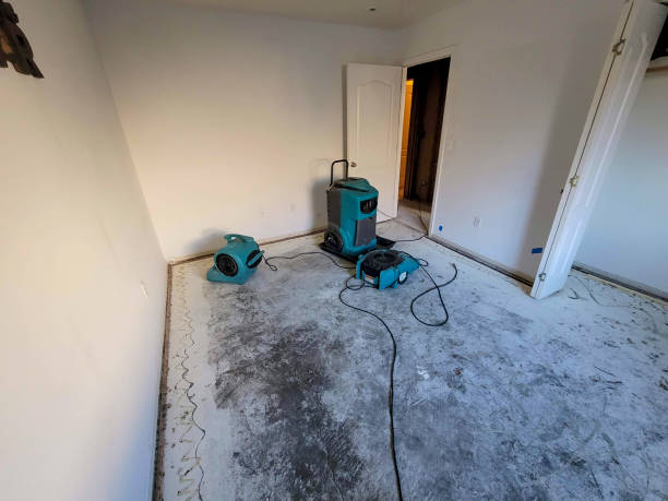 Best Mold removal after water damage  in Jackpot, NV