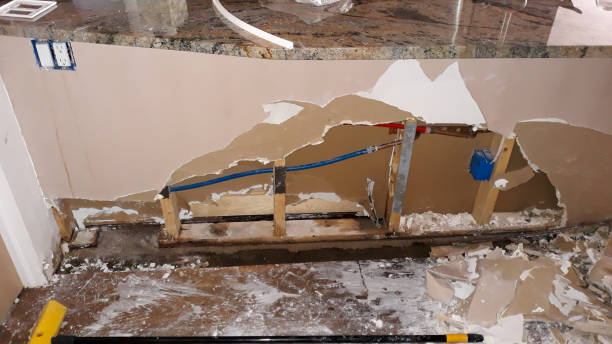 Best Local water damage restoration  in Jackpot, NV