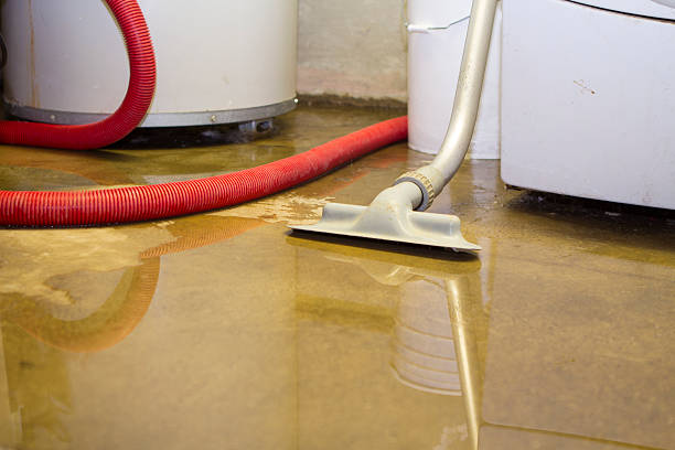 Best Water damage cleanup near me  in Jackpot, NV