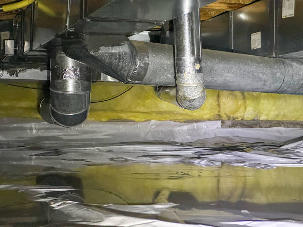 Best Water damage restoration cost  in Jackpot, NV