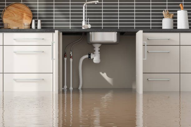 Best Water damage restoration near me  in Jackpot, NV