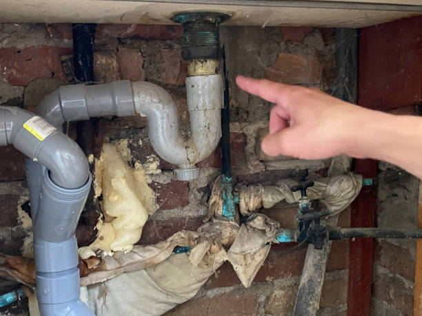 Best Mold removal after water damage  in Jackpot, NV