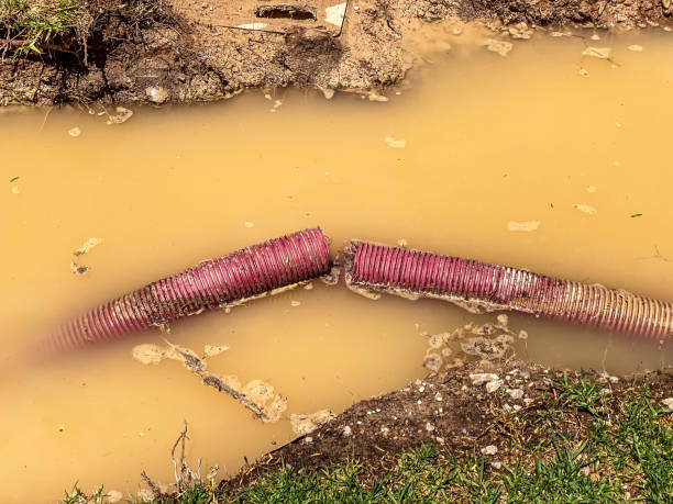 Best Water damage cleanup near me  in Jackpot, NV